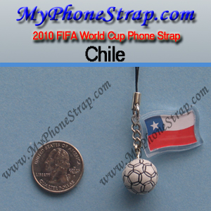 2010 FIFA WORLD CUP CHILE (JAPAN IMPORTED) DETAIL